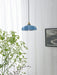 French Flower Pendant Light - Vakkerlight