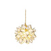 Capiz Pendant Lamp-DWHOME