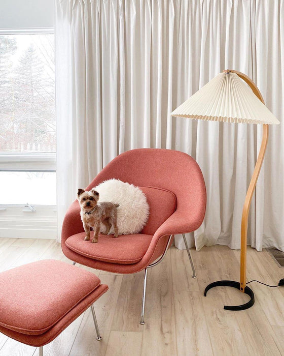 Caprani Floor Lamp-DWHOME