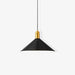 Carins Pendant Lamp-DWHOME