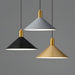 Carins Pendant Lamp-DWHOME