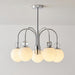 Carisa Collection Chandelier-DWHOME