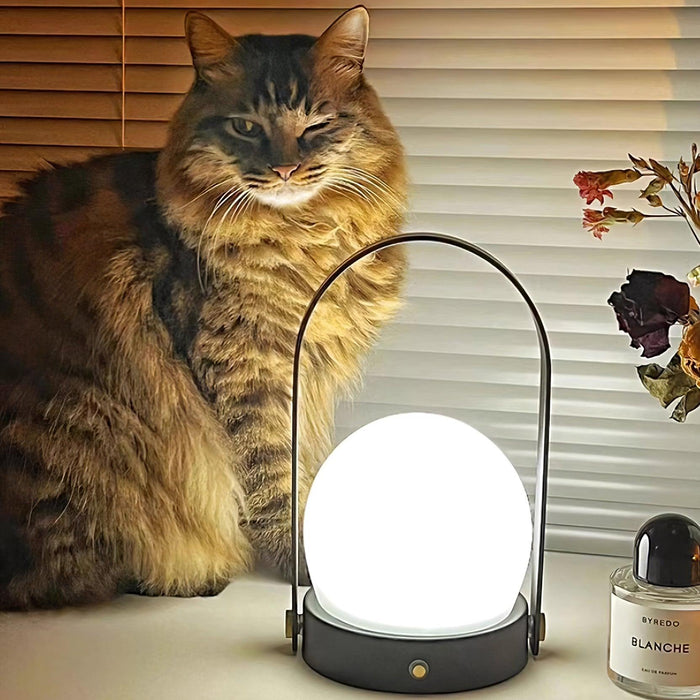Carrie Built-in Battery Table Lamp-DWHOME