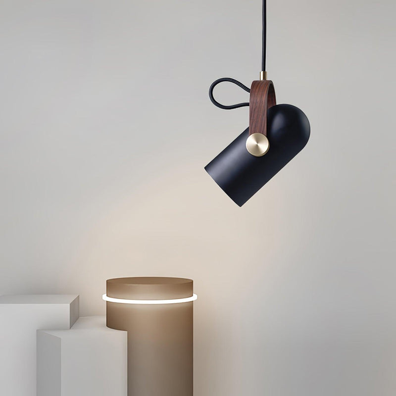 Carronade Pendant Light-DWHOME