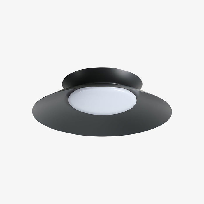 Cetra Ceiling Light.