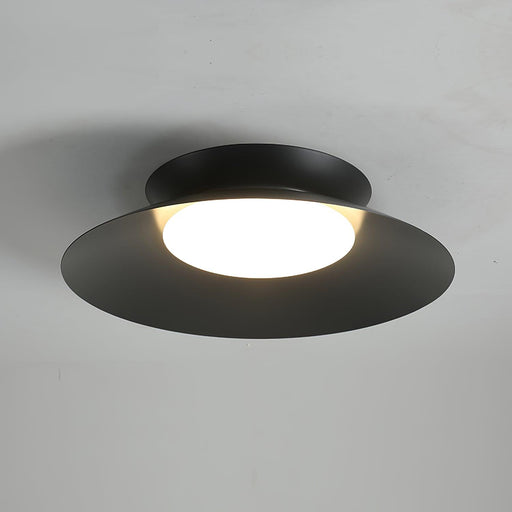 Cetra Ceiling Light.