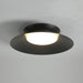 Cetra Ceiling Light.