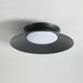 Cetra Ceiling Light.