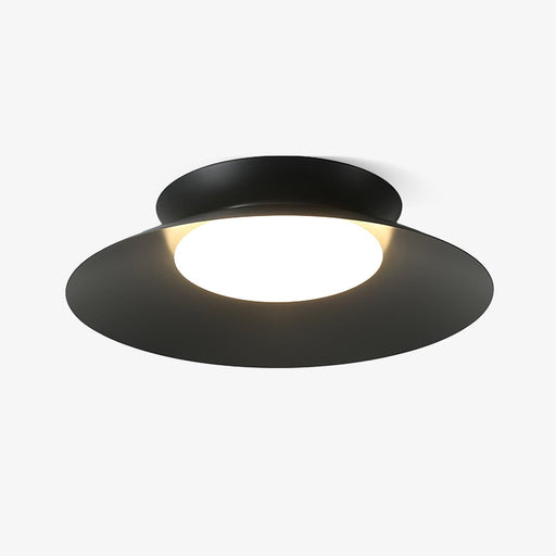 Cetra Ceiling Light.