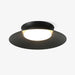 Cetra Ceiling Light.