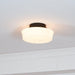 Charles Edwards Ceiling Lamp - DWHOME