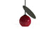 Cherry Pendant Light-DWHOME