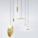 Chrona Dish Pendant Light-DWHOME