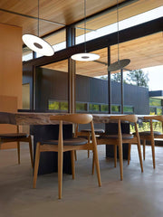 Circa Pendant Lamp-DWHOME