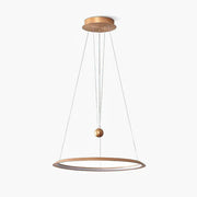 Circular LED Chandelier-DWHOME