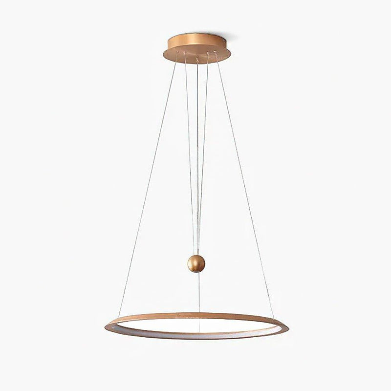 Circular LED Chandelier-DWHOME