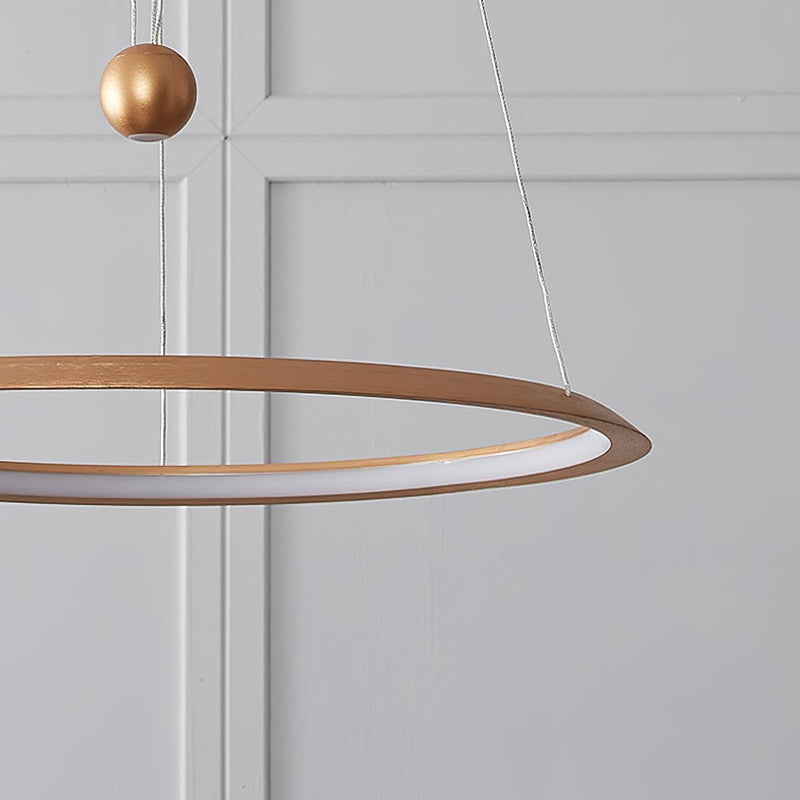 Circular LED Chandelier-DWHOME