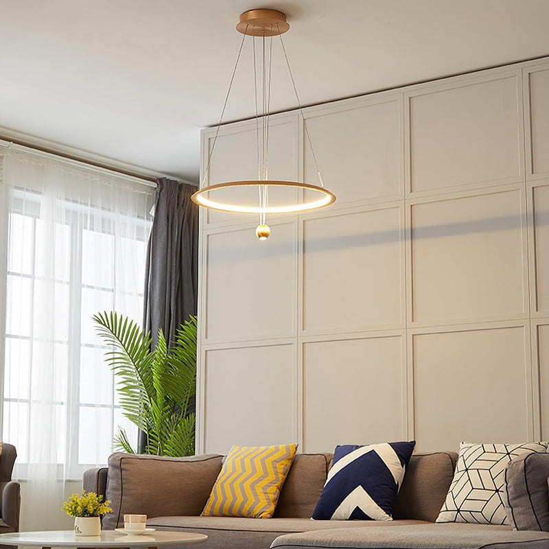Circular LED Chandelier-DWHOME