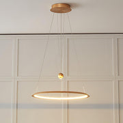 Circular LED Chandelier-DWHOME