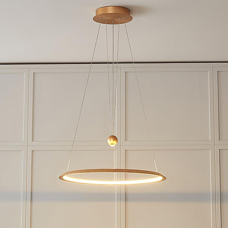 Circular LED Chandelier-DWHOME