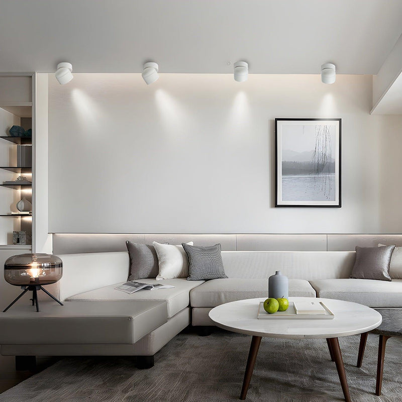Clara Rotating Surface Downlight-DWHOME