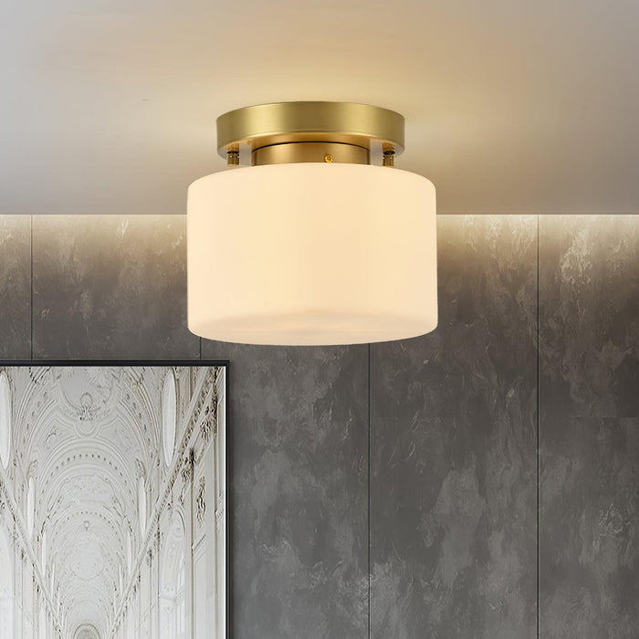 Clinio Flush Mount Ceiling Light - DWHOME