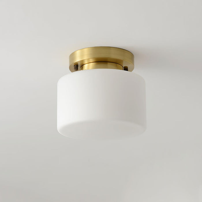 Clinio Flush Mount Ceiling Light - DWHOME