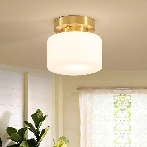 Clinio Flush Mount Ceiling Light.