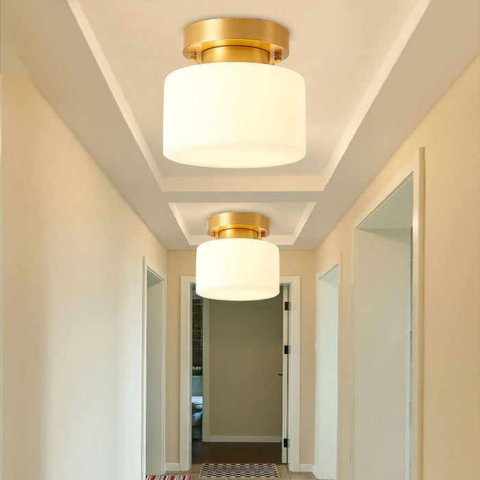 Clinio Flush Mount Ceiling Light - DWHOME