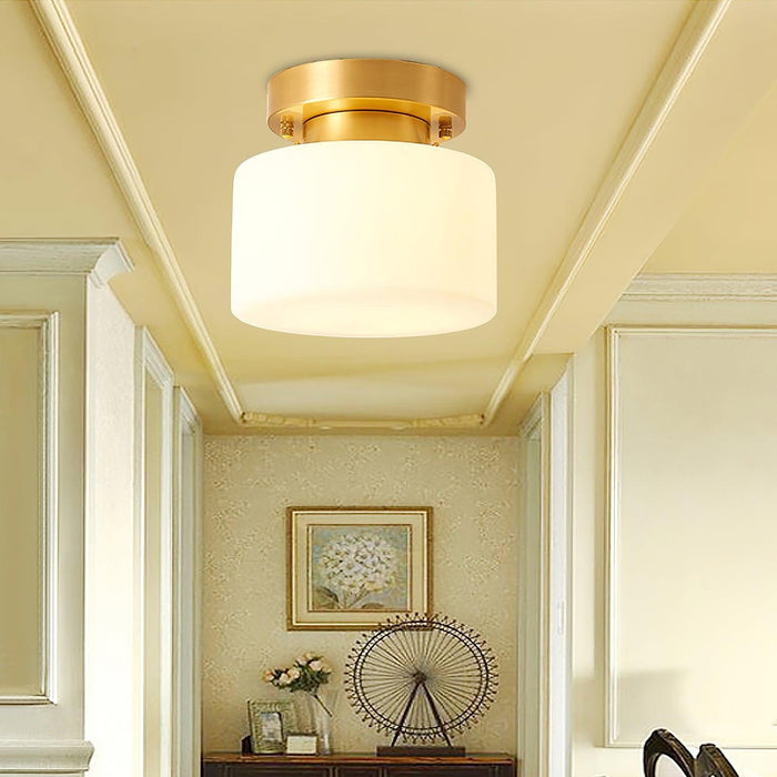 Clinio Flush Mount Ceiling Light - DWHOME