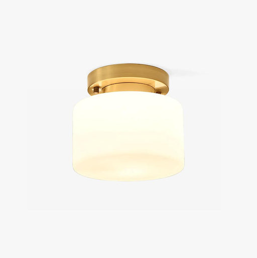 Clinio Flush Mount Ceiling Light.