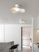 Cloud Ceiling Light.