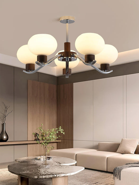 Colome Chandelier - DWHOME