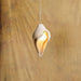 Conch Resin Pendant Lamp.