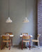 Coral Resin Pendant Lamp-DWHOME