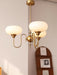 Creamy Persimmon Chandelier - DWHOME