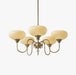 Creamy Persimmon Chandelier - Vakkerlight