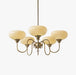 Creamy Persimmon Chandelier - DWHOME