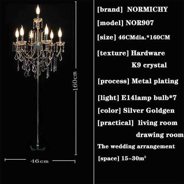 Crystal Chandelier Floor Lamp.