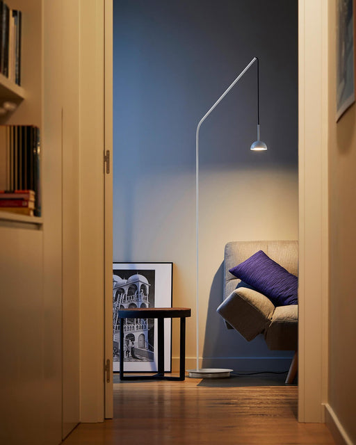 Cupolina Floor Lamp.