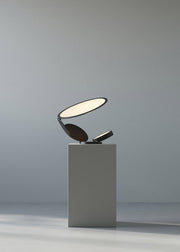 Cut Table Lamp-DWHOME