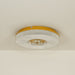 Ayla LED Flush Mount Ceiling Light.