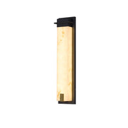 Delaney Outdoor Wall Light-DWHOME