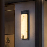 Delaney Outdoor Wall Light-DWHOME