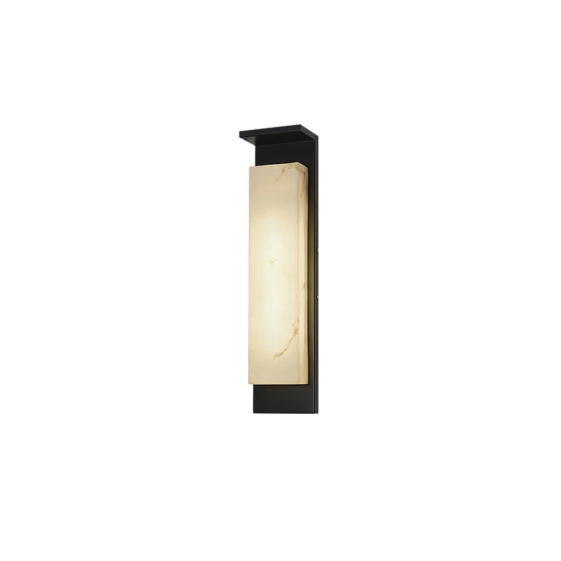 Delaney Outdoor Wall Light-DWHOME