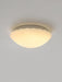 Devan Seashell Ceiling Lamp.