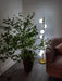 Doppler LED Tree Lamp - DWHOME