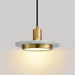 Double Circle Pendant Light.