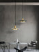 Double Circle Pendant Light.