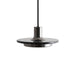 Double Circle Pendant Light-DWHOME